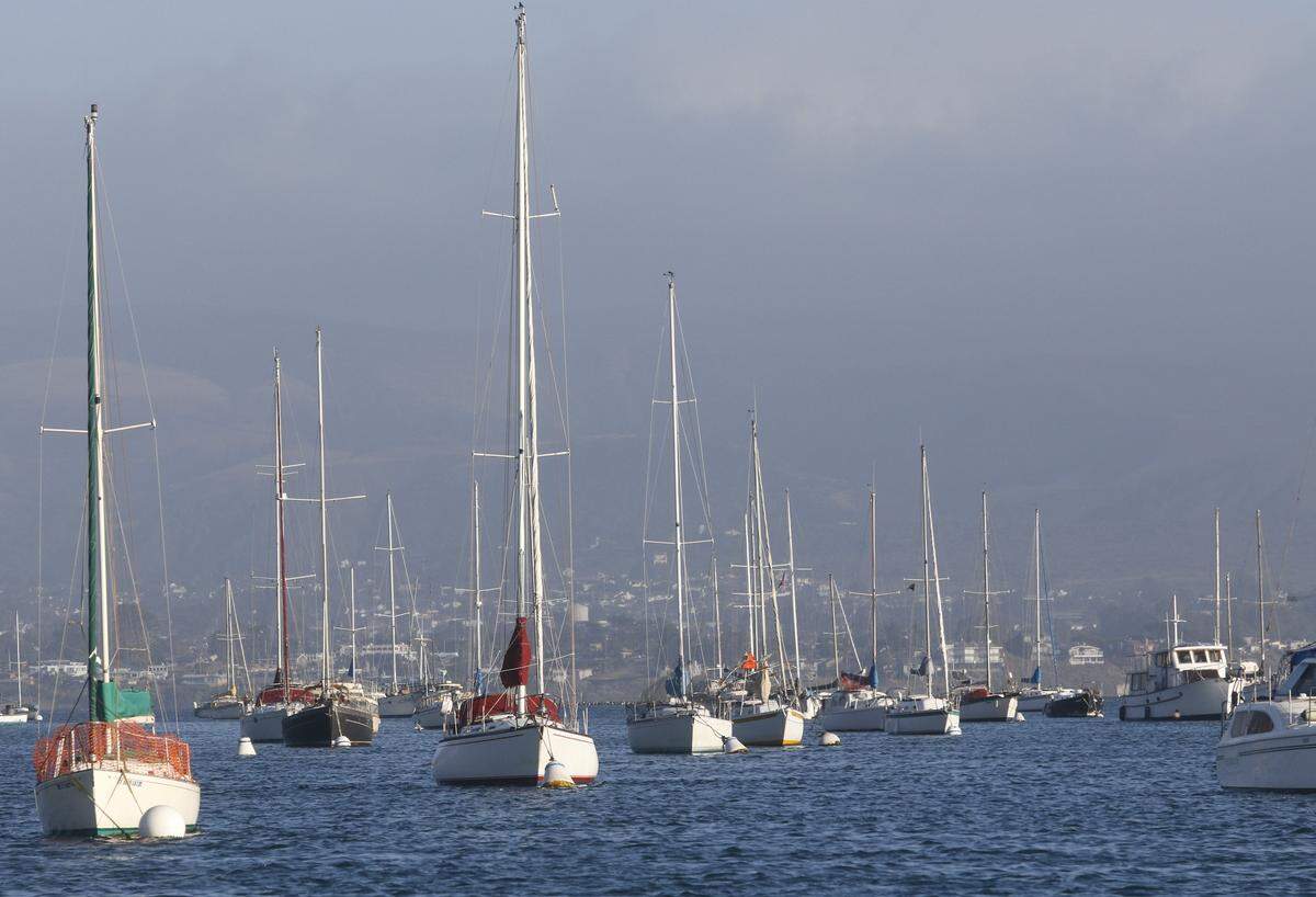 The Morro Bay Harbor has about 130 moorings for boats.