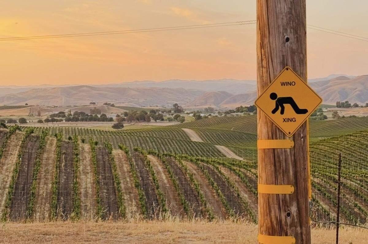 Torie Ranch Vineyard is Black Hand Cellars’ property where all operations are being moved.