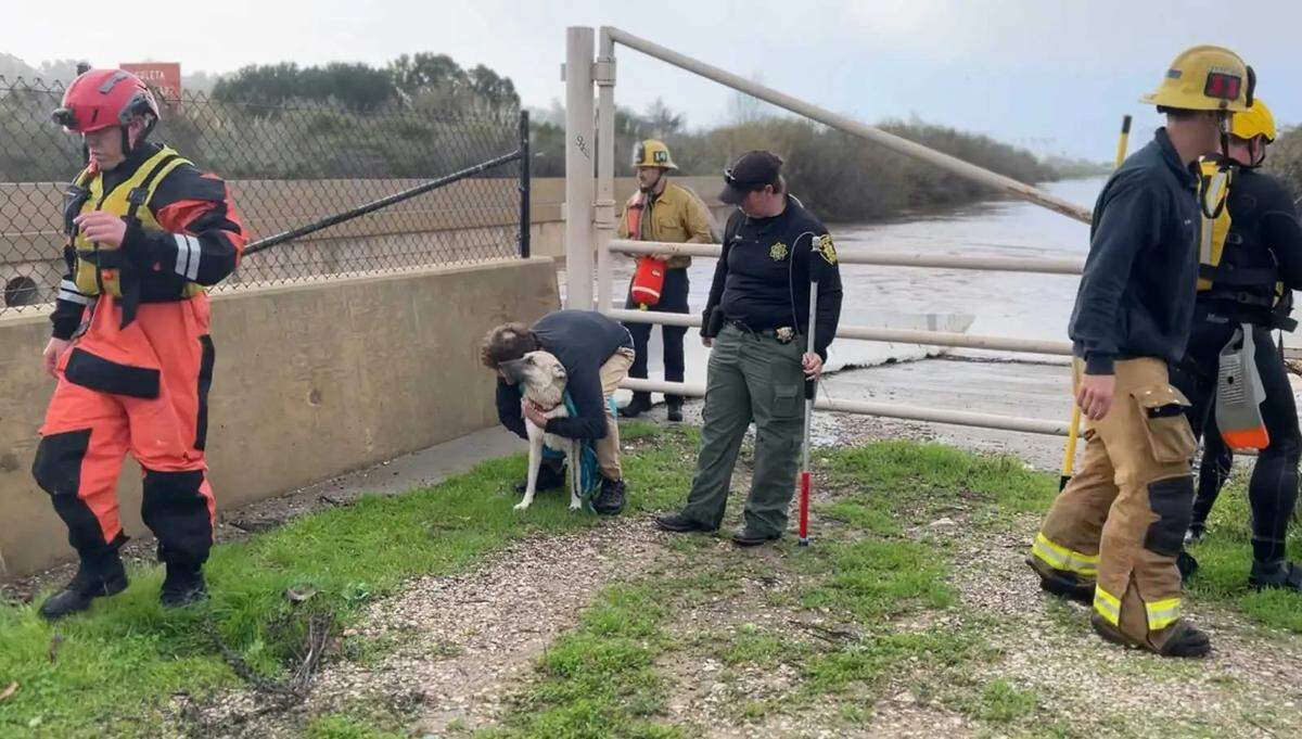 One of two dogs rescued from rain-swollen San Jose Creek in Goleta on Thursday, Jan. 5, 2023, gets a hug.