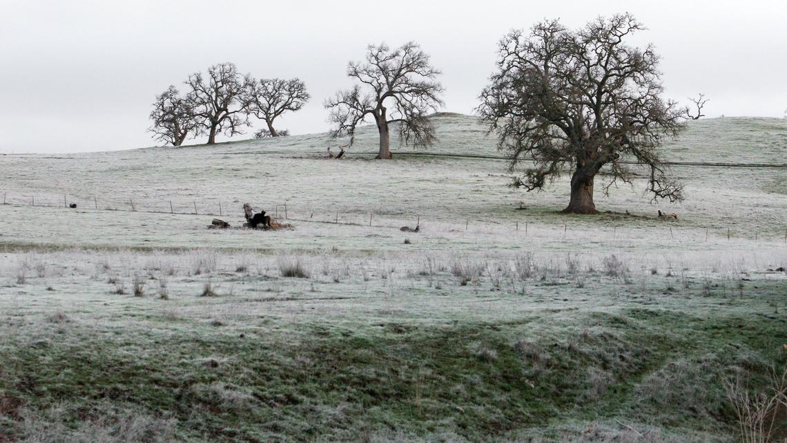 Think it’s cold in SLO now? In 1990, the ‘Yukon Express’ brought single-digit temps