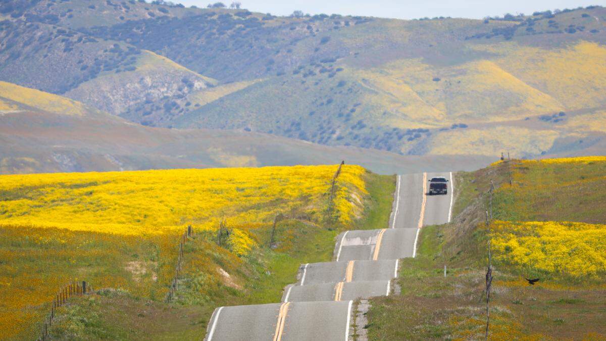 Highway 58 looks like waves on the sea as it approaches the San Andreas Fault, wildflowers cover the Temblor Range in the background.