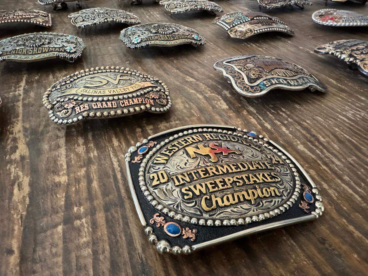 Paso Robles’ Karis Dadson has won 23 belt buckle awards for swine showmanship events across the United States.