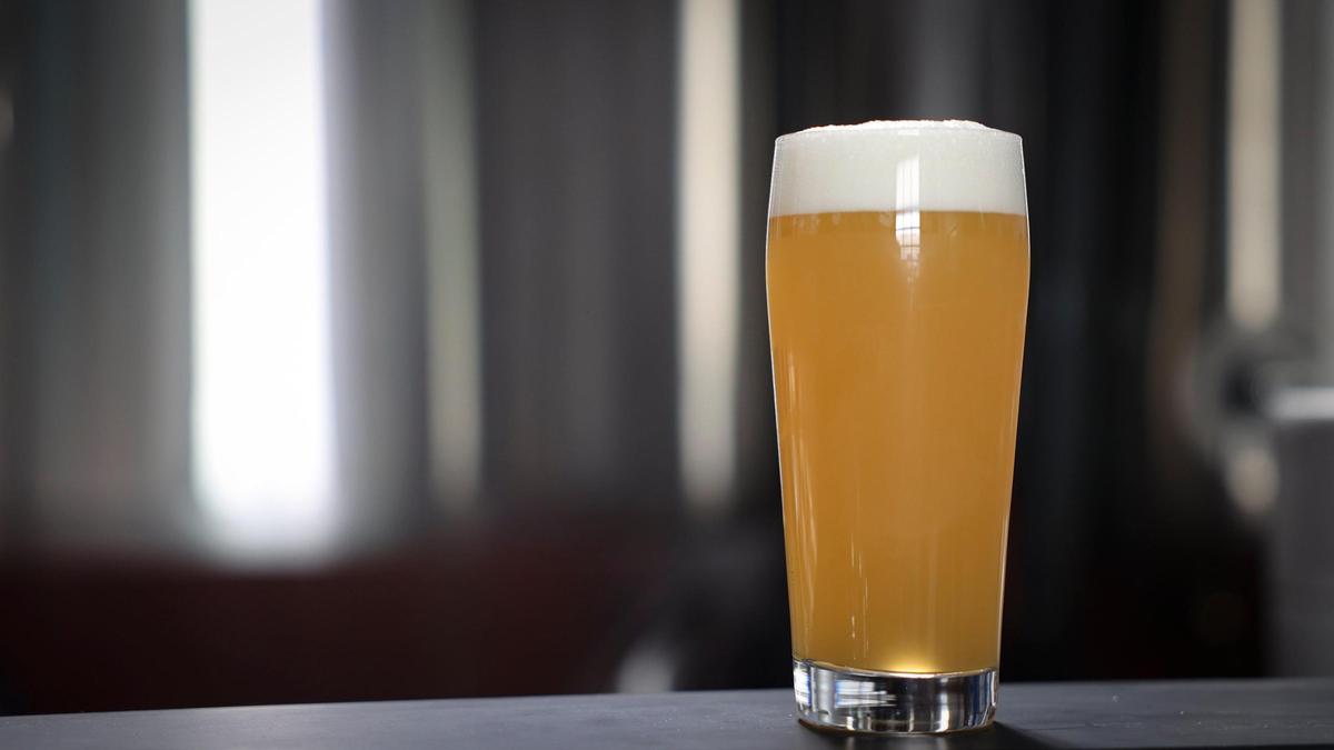 Sea Snake Hazy IPA at Shrine Brewery in San Luis Obispo, seen here on Feb. 10, 2025.