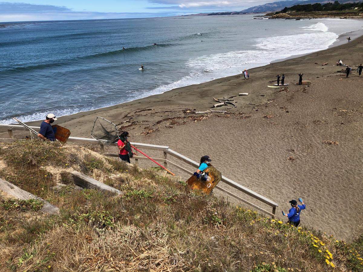 Members of The Marine Mammal Center’s team arrive on Wednesday, July 22, 2020, at a stretch of Cambria’s Moonstone Beach area to rescue Hattori, an injured, malnourished California sea lion. Team members pictured are Kerry Cox, Aliah Meza, Aviv Eckshtein and Beverly Kurz.