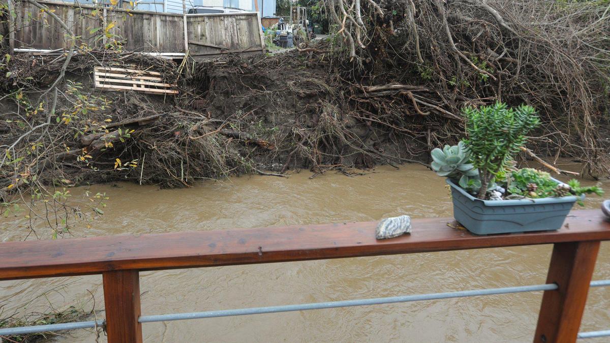 Little Morro Creek flooded into the Silver City West mobile home park in Morro Bay, but did not disturb plants on a deck railing. A break in the storm track on Jan. 10, 2023 after a series of atmospheric river storms hit the coast.