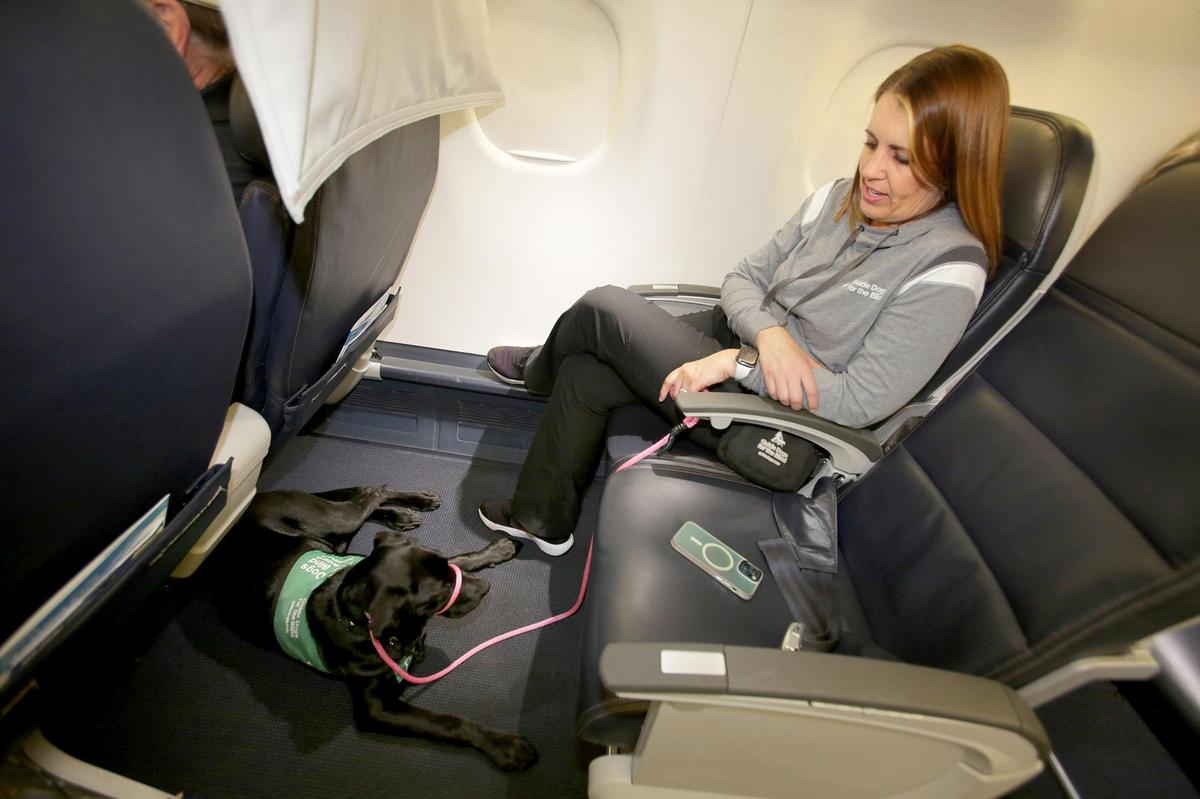 Nora Crivello of Salinas Guide Dogs for the Blind sits with her Labrador retriever puppy Hazelnut on an Alaska Airlines during a training exercise at San Luis Obispo County Regional Airport on May 3, 2025.