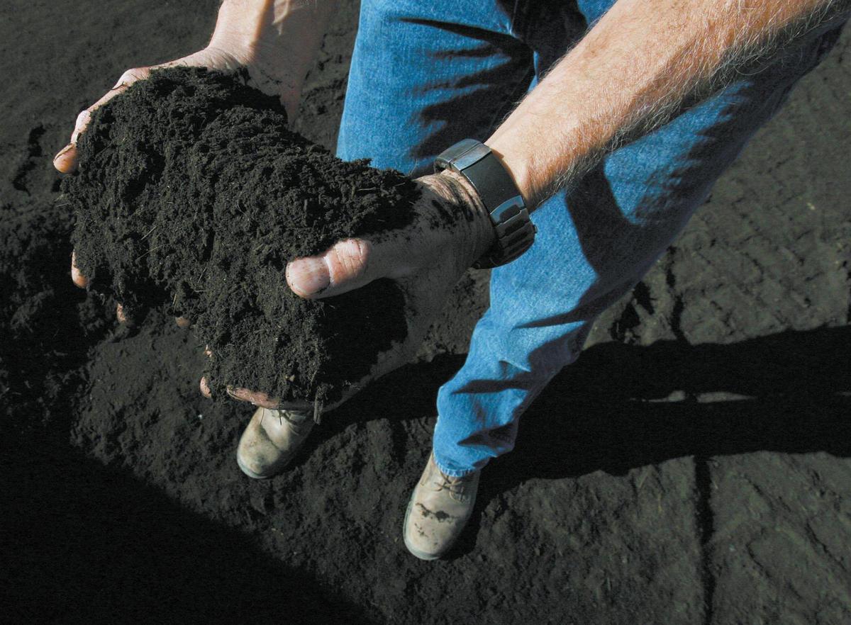 Bruce Rizzoli holds finished compost at Cold Canyon Landfill. Nov. 16, 2006.