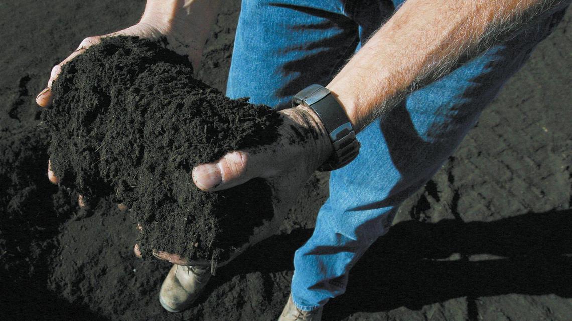 From trash-eating hogs to biogas: How SLO County stayed on ‘the cutting edge’ of composting