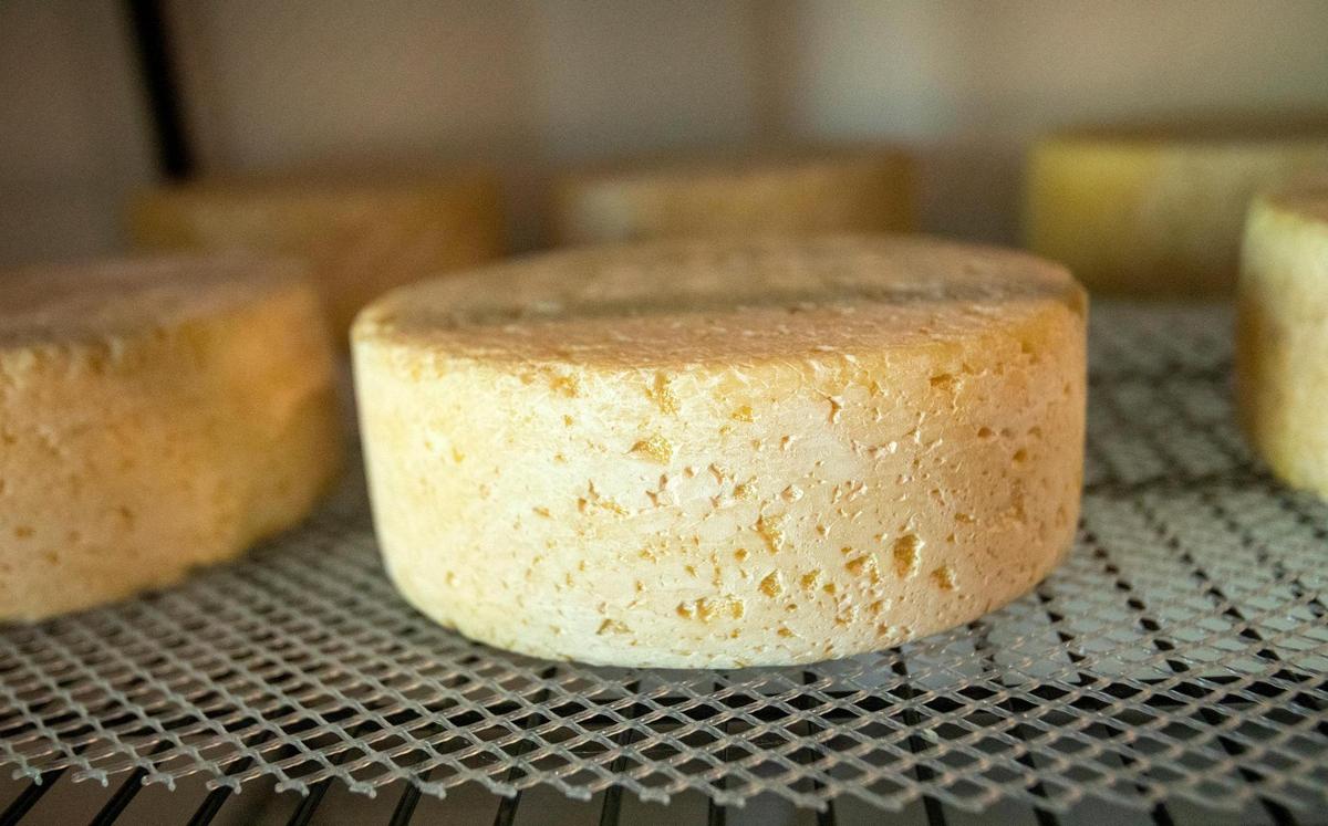 Kristy and Evan Bishop have opened Black Market Cheese Company, which opened for cheese tastings and farm tours in late September. They sell cheeses and charcuterie boards in their quaint shop. The cheese is made on site using the goats and animals on the farm. This cheese is named A Tomme to Kill.