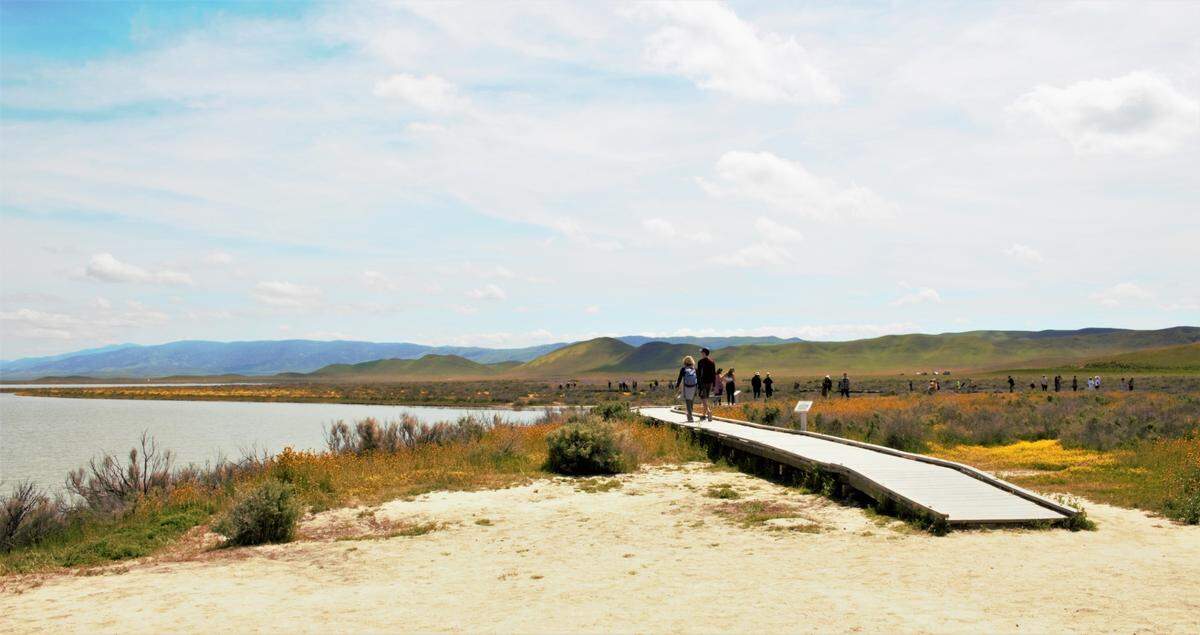 Visitors enjoy a full Soda Lake at the Carrizo Plain National Monument on April 8, 2023. Under the Central Coast Heritage Protection Act, this area would be designated as wilderness, giving it a higher level of federal protection from development.