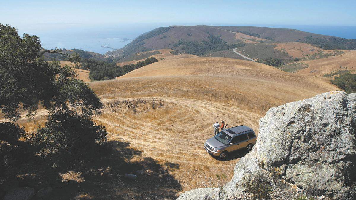 The higher elevations of the Wild Cherry Canyon property offer ocean views from Montaña de Oro to Point Sal on a clear day.