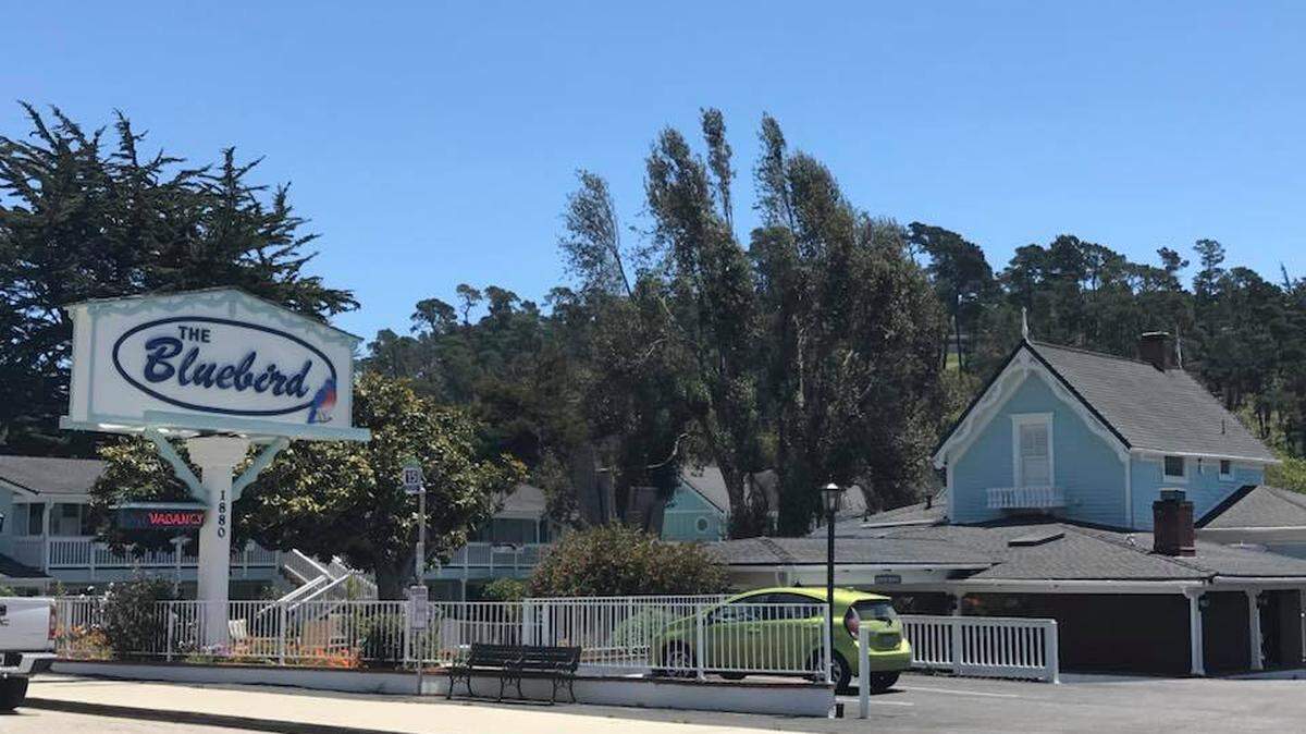 “Cambria Century” by Stephen H. Provost explores the history of local businesses such as the Bluebird Inn. The book was published by Dragon Crown Books in July 2021 as part of the Century Cities series.