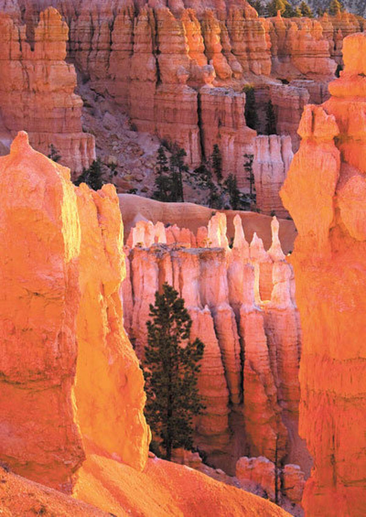 Sunrise is seen on the trail below Sunset Point in Bryce Canyon National Park. Solvang resident Bill Etling remembers waking at dawn to capture photophraphs of the colorful spires, only to discover that he was using black-and-white film.