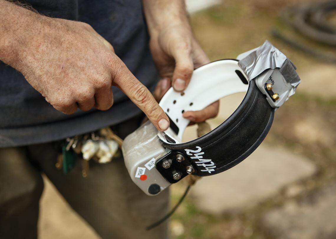 Justin Dellinger, Senior Environmental Scientist with Wildlife Investigations Laboratory at the California Department of Fish and Wildlife holds a tracking collar for mountain lions. Photo by Joe Johnston 01-24-18