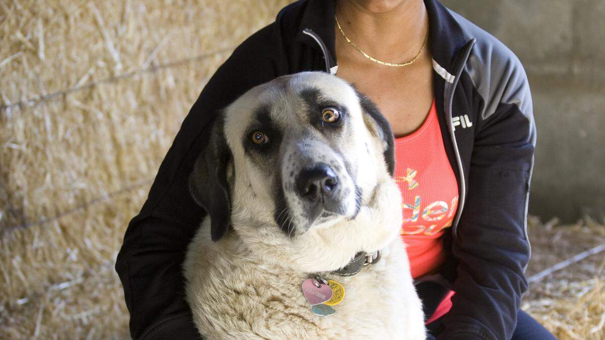 Donna Cheek, who was the first black rider on the U.S. equestrian team, sits with her Anatolian shepherd, Zola.