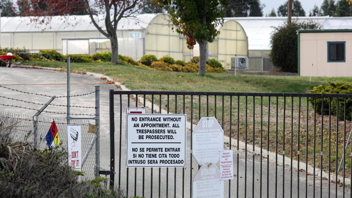 18,000 joints seized from Nipomo pot warehouse. LA-based company had no license, CA says