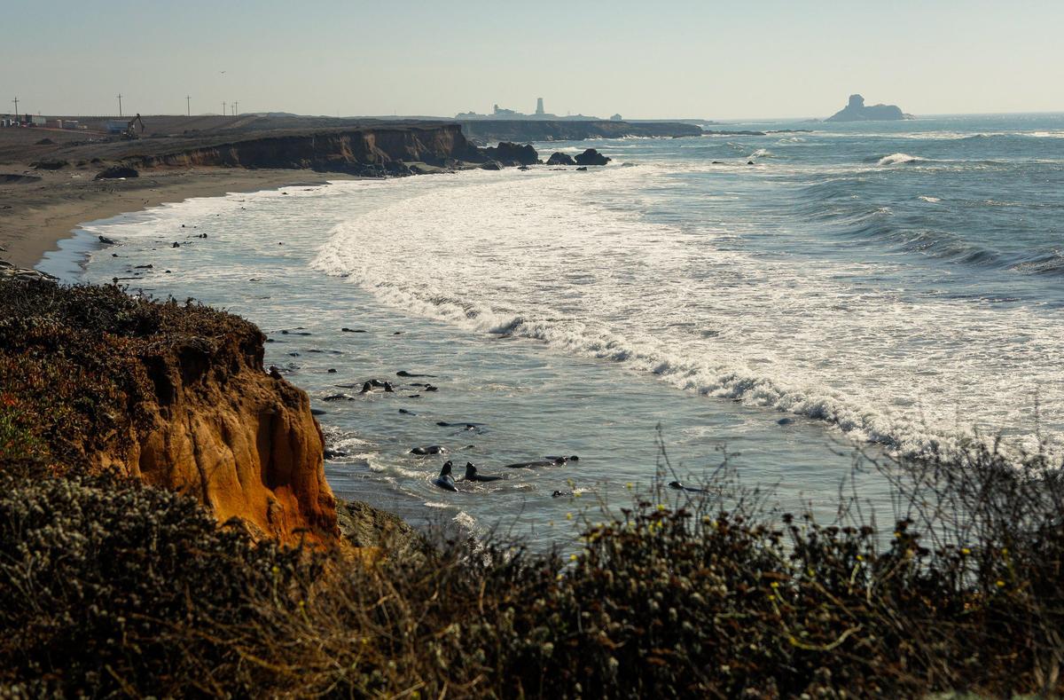State Parks has a plan for a scenic stretch of Highway 1 near Piedras Blancas such as this area south of the Piedras Blancas Motel, which has views of the Piedras Blancas Light Station.