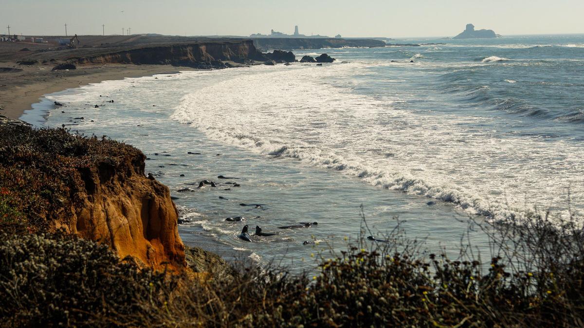 The State Parks has a plan for a scenic stretch of Highway 1 near Piedras Blancas like this area South of the of the Piedras Blancas Motel which has views of the Piedras Blancas Light Station.