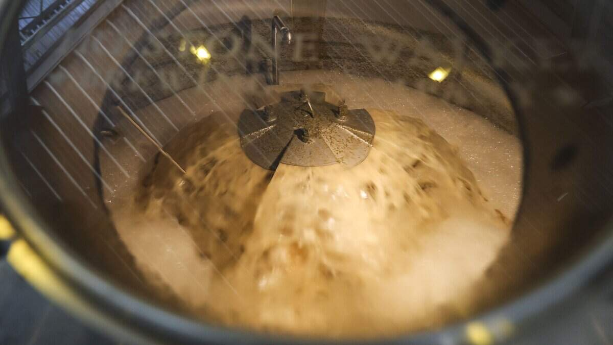 Pivo Pils wort is boiling in a kettle. Scenes from the Firestone Walker brewery in Paso Robles, seen here on April 14, 2026.