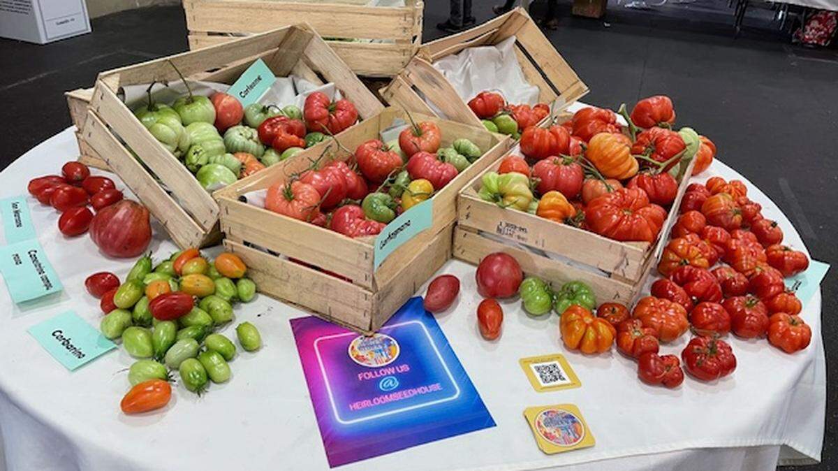 Get expert tips for planting and growing tomatoes in San Luis Obispo County gardens at the next UC Gardener’s workshop on Feb. 21, 2026.