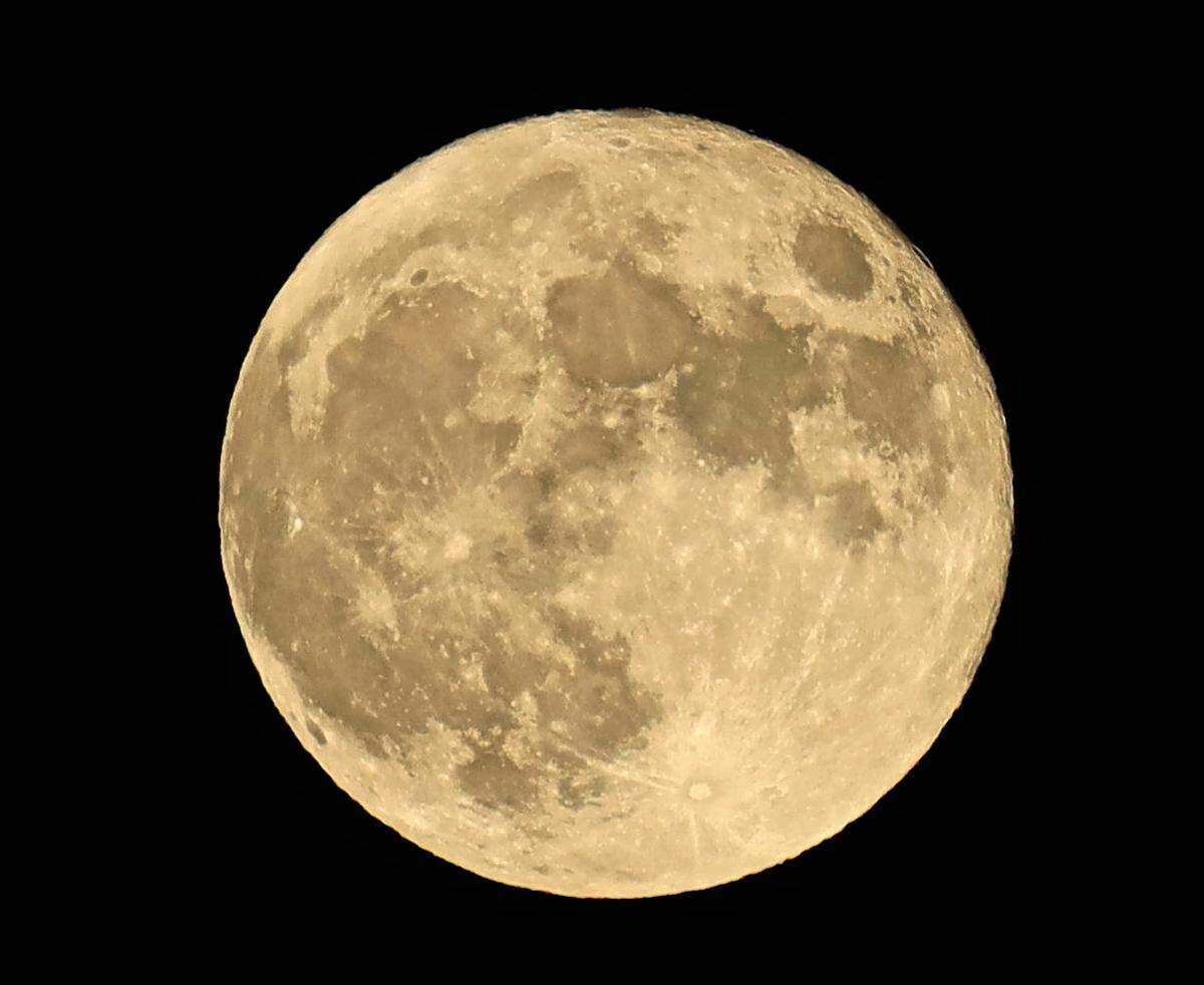 The supermoon fully risen in the sky, visible from the photographer’s backyard just outside the Village of Arroyo Grande.