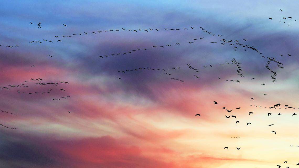 Series of storms bearing down on SLO County, and it could last through Christmas