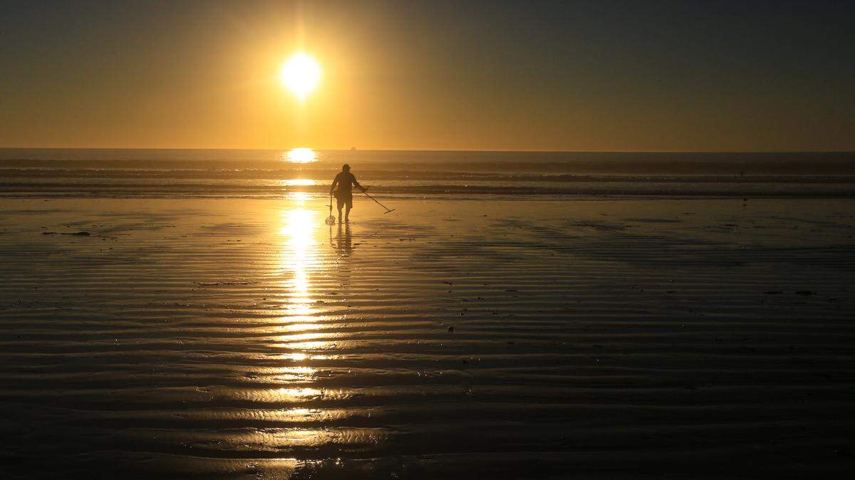 Otto Samuel searches the Pismo Beach shore with a metal detector during low tide on Monday, Nov. 16, 2020. He found a ring and some small chains.