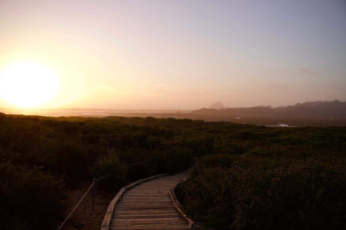 On the Elfin Forest Natural Area boardwalks you can see the Morro Bay estuary.