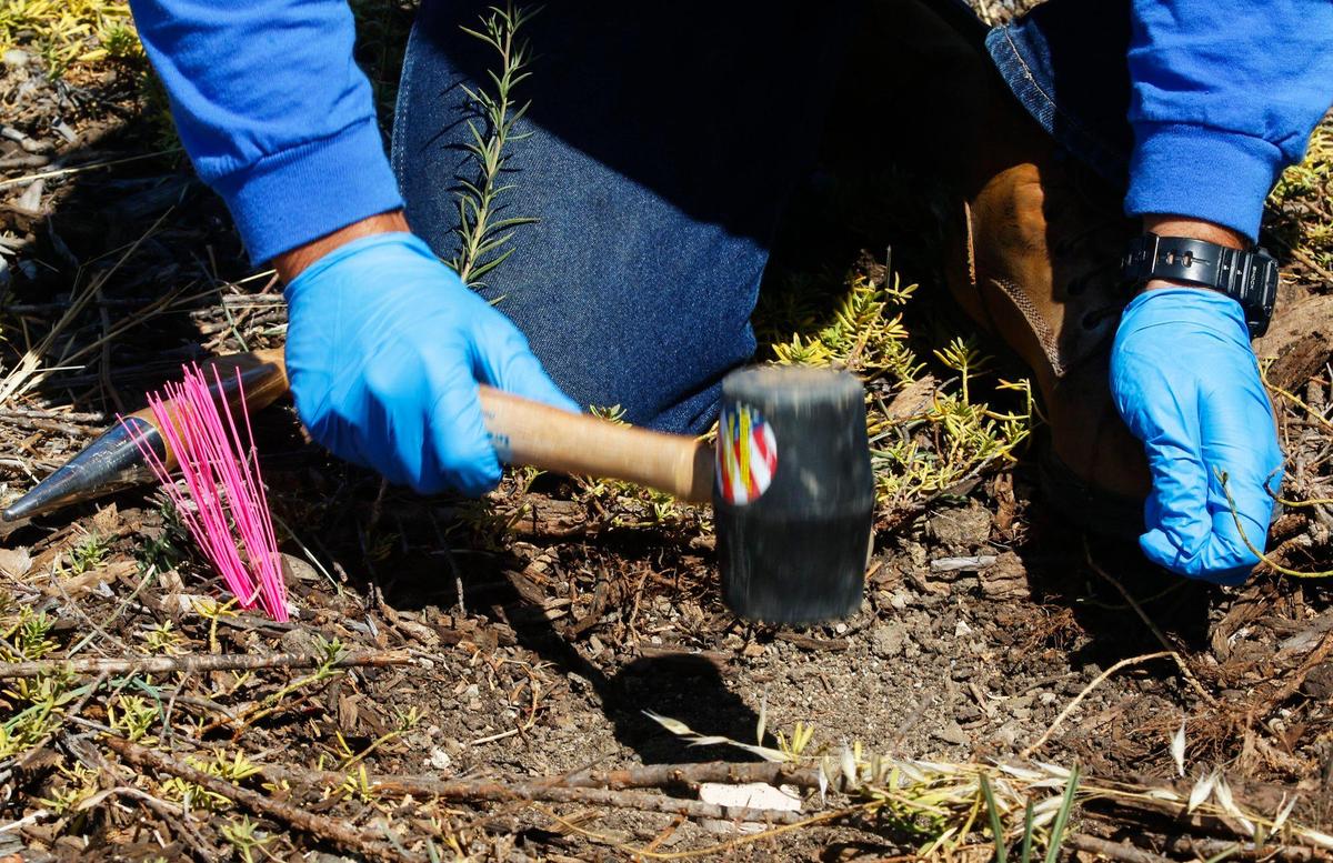 Areas of the SLO airport were tested July 26, 2016 for TCE in an effort to determine a source of contamination, hundreds of soil probes will collect data.