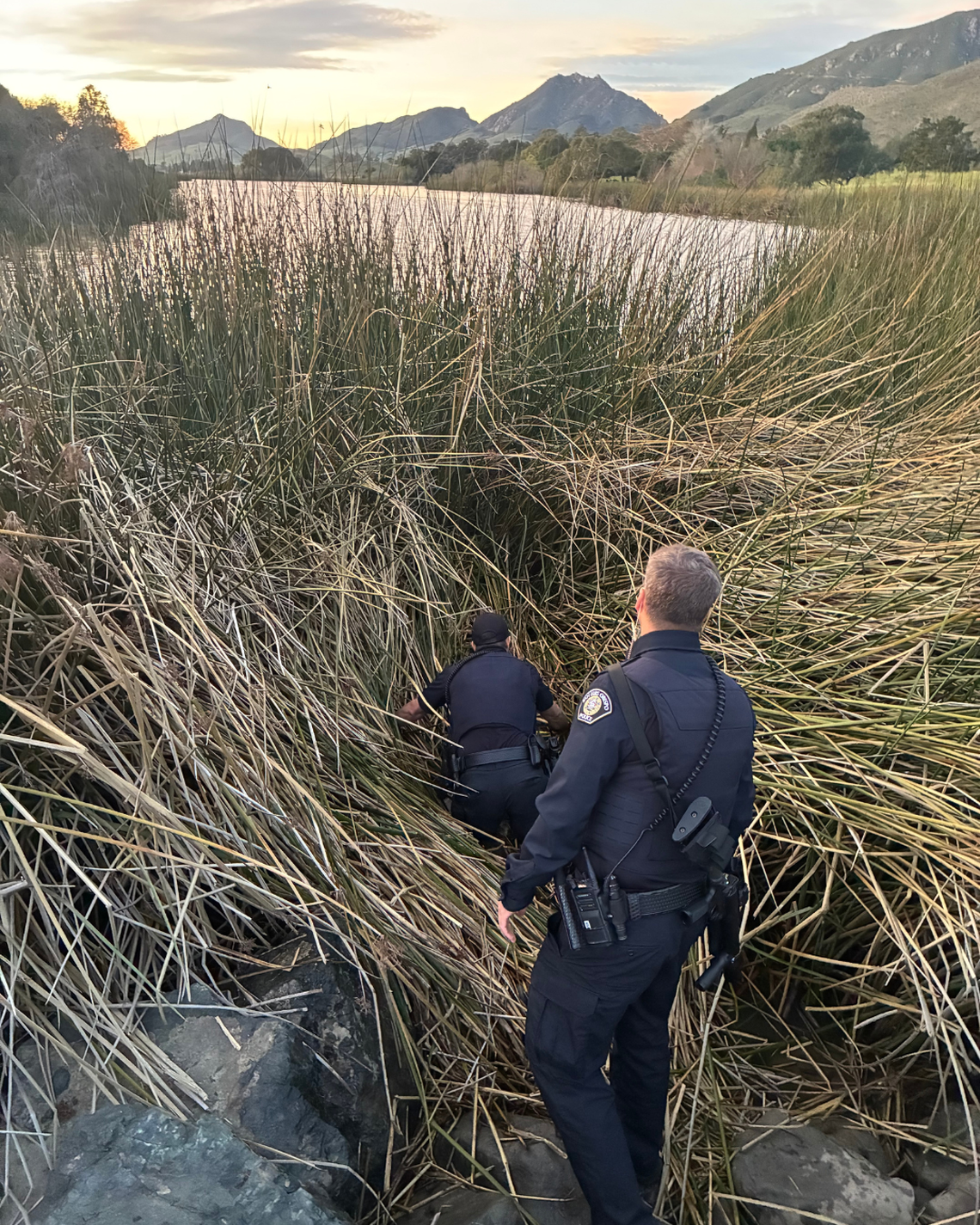 San Luis Obispo Police Department officers search through the reeds at Laguna Lake, where they arrested a man who allegedly threatened to stab people on Feb. 24, 2026.