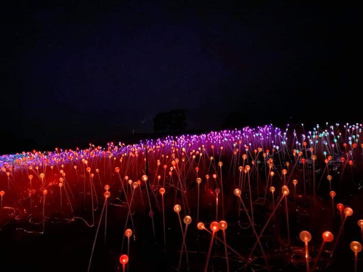 The NEOWISE comet appears faintly in the skies above the Field of Light at Sensorio art installation in Paso Robles on July 16, 2020.