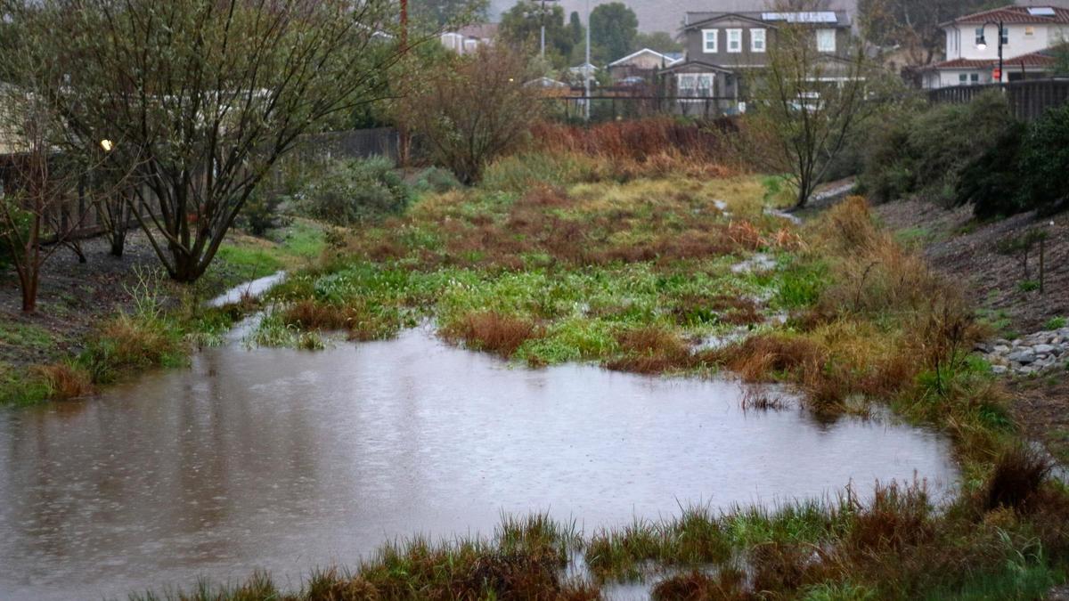 Flood control basin next to Prado Road fills on the second day of rains.