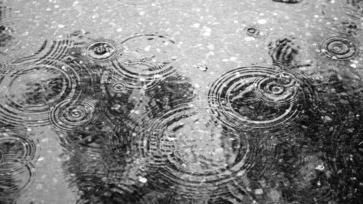 Rain drops falling in a puddle.
