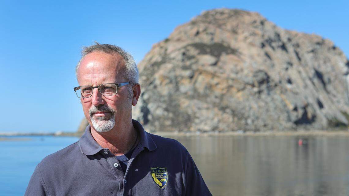 Mike Harris, California Department of Fish and Wildlife senior environmental scientist, talks about the latest sea otter count and the health of the population. Numbers have been trending lower over the past three years due to sharks.