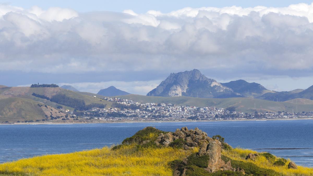 Hollister Peak is seen from north of Cayucos as spring flowers wave in the breeze and cloud banks move overhead.