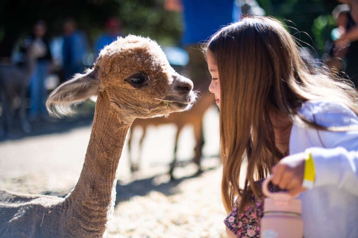 Some farms on the Open Farm Days Weekend trail will offer animal meet-and-greets.