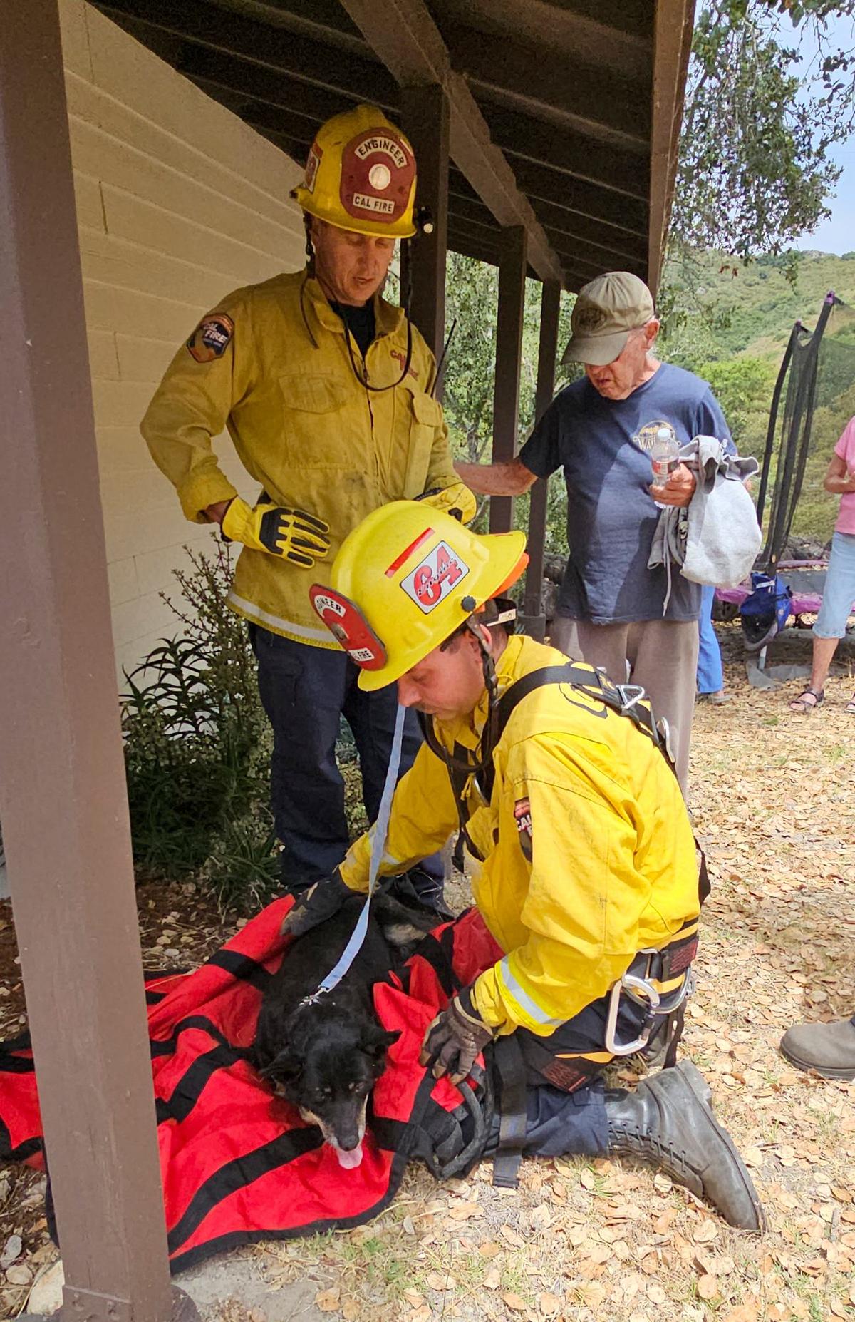 A 16-year-old dog named Bobo was rescued by Cal Fire/San Luis Obispo County Fire firefighters Friday afternoon after falling off a 35 foot cliff off 400 block of Squire Canyon Road. Bobo’s owner David Yount, right, thanks the firefighters for saving his dog.