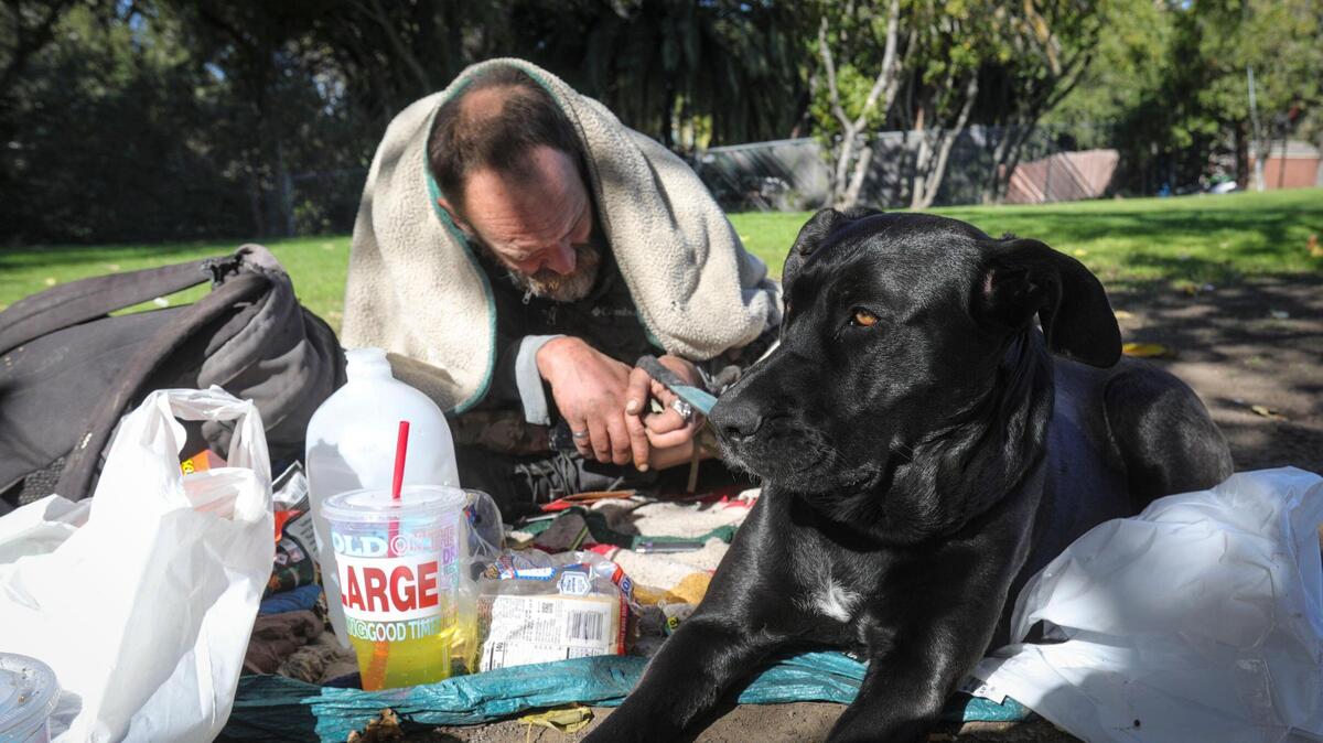 Mike Gibson with dog Keeper, spends time in the sun at Santa Rosa Park in San Luis Obispo on Jan. 10, 2025.