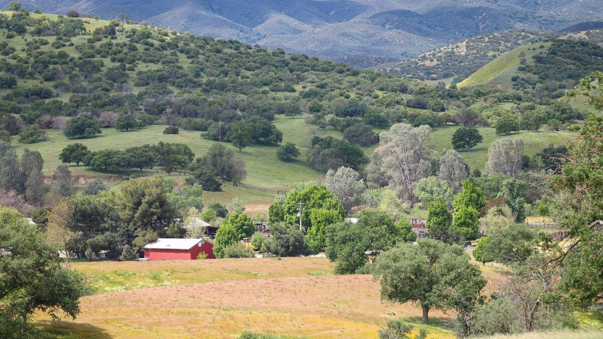Land Conservancy del Condado de San Luis Obispo completó una servidumbre de conservación sobre 27,000 acres del rancho Camatta en el este del Condado de SLO.