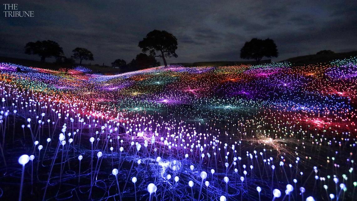 Field of Light in Paso Robles adds new dates, third art installation planned