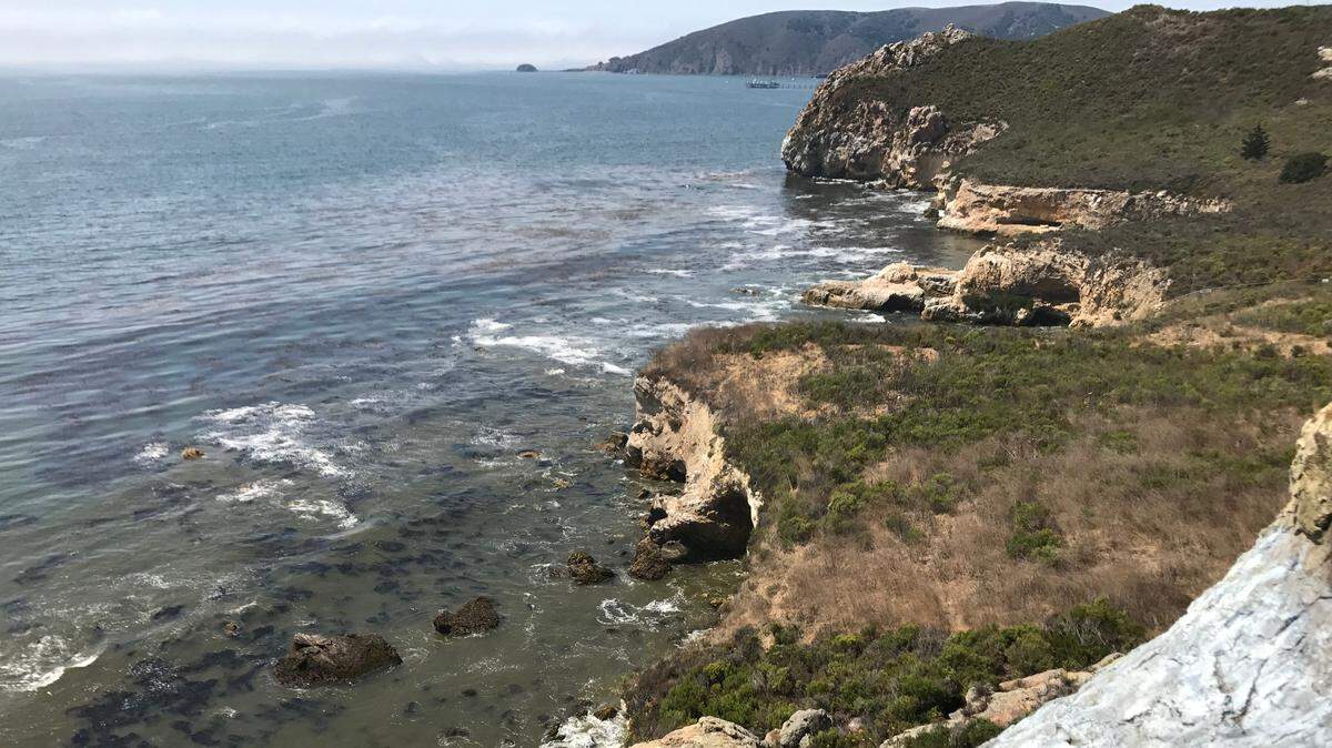 Pirate’s Cove