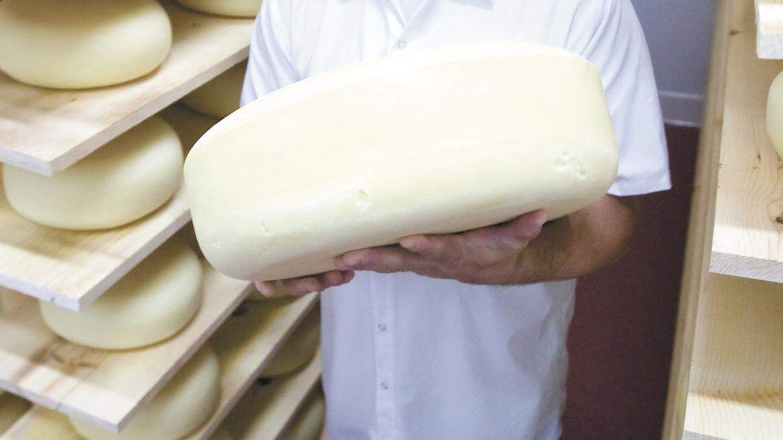 Owner Reggie Jones holds a 40-pound round of freshly made cheese at Central Coast Creamery.