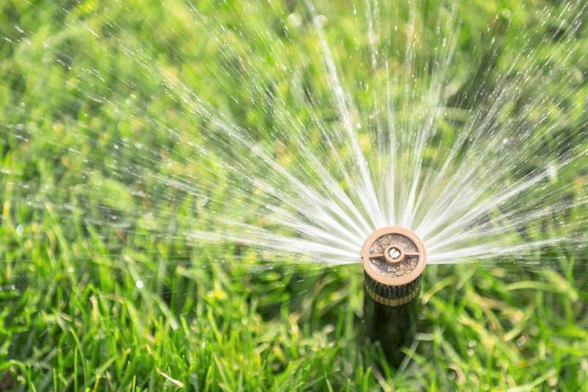 With California in a historic drought, Modesto has issued an outdoor watering schedule to three days until October.