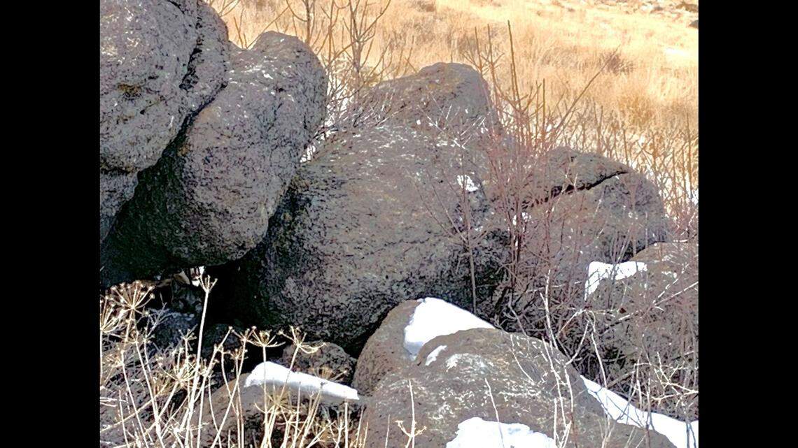 The U.S. Fish and Wildlife Service posted this photo from Nevada and noted there is a mountain lion in it. Can you find it?