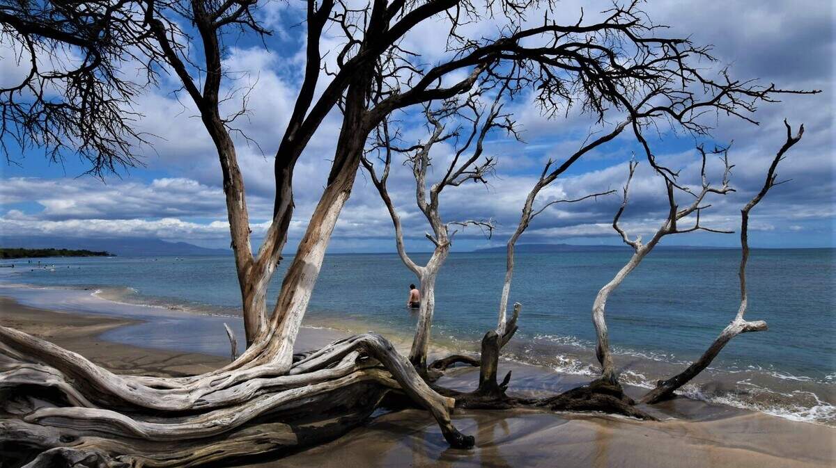 PG&E meteorologist John Lindsey took this photo of increasing sea levels on the island of Maui in Hawaii on Wednesday, July 28, 2021.