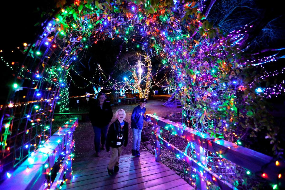 Visitors look at lights during the Nature Nights event at the San Luis Obispo Botanical Garden.