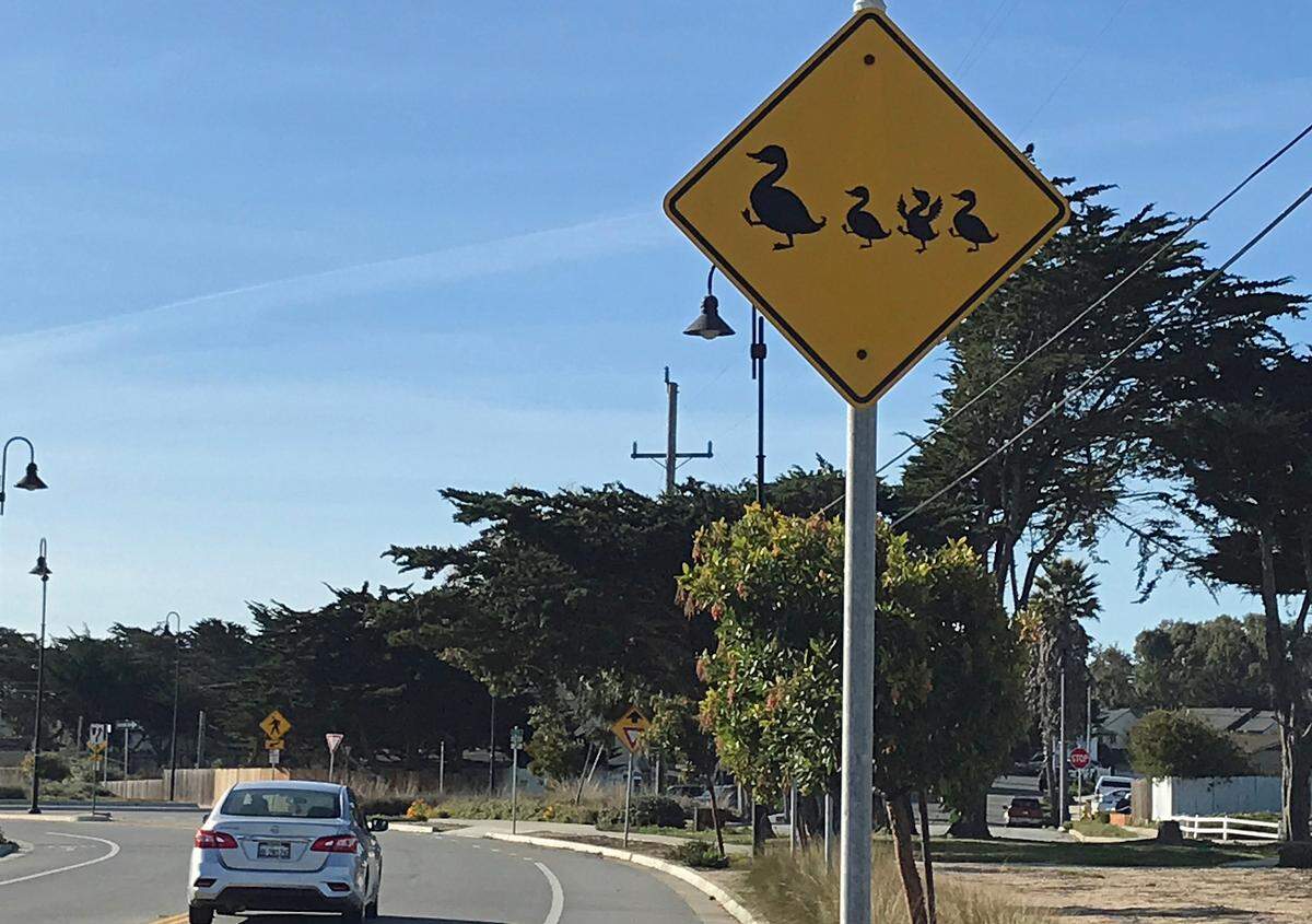 As columnist Kathe Tanner and her son, Brian Tanner, navigated one of the many road roundabouts in the Monterey area in February 2021, this sign caught their attention.