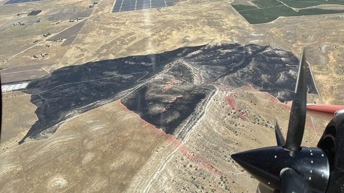 A wildfire burns grassland on the eastern edge of San Luis Obispo County north of the Carrizo Plain National Monument on Wednesday, June 5, 2024.