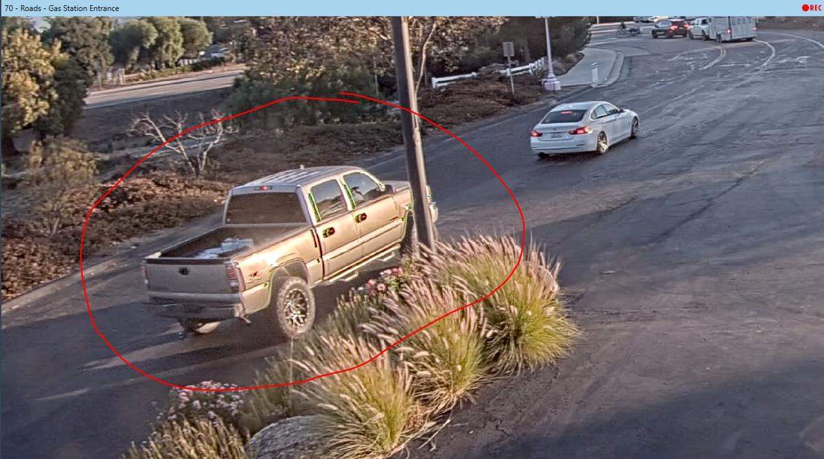Two young men in disguises were seen stealing the welcome rug from the Madonna Inn steakhouse and escaping in a silver pickup truck on the afternoon Nov. 16, 2024. This is the fifth time the rug has been stolen in four years.