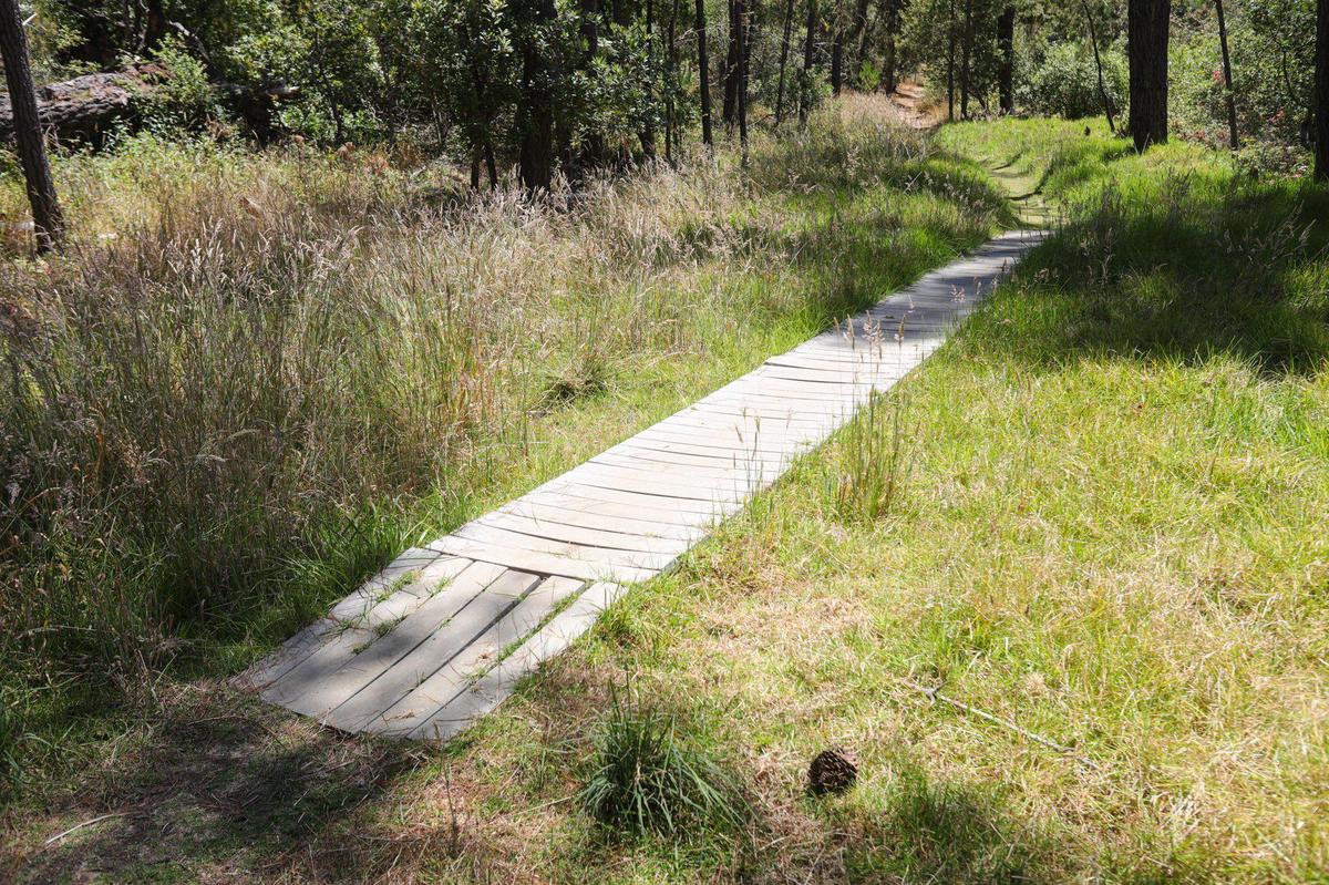 Strawberry Canyon is an open space in Cambria with trails.
